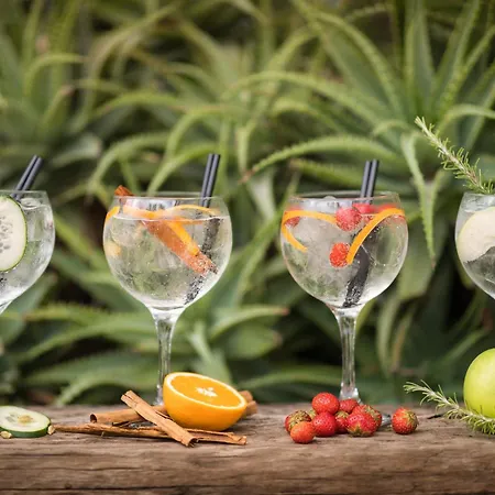 Htop Platja Park #htopfun 4*