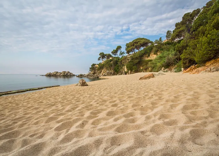 Htop Platja Park #htopfun Отель 4*